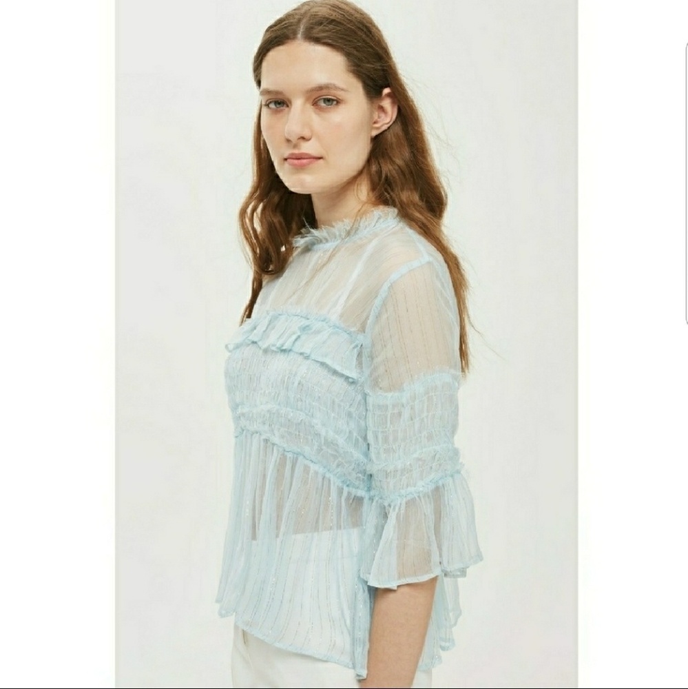 TOPSHOP Metallic Stripe Tulle Sheer Blouse Top